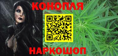 тгк Владивосток
