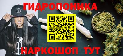 тгк Владивосток