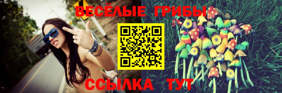 Псилоцибиновые грибы Magic Shrooms  Галлюциногенные грибы GOLDEN TEACHER  Вход с VPN  Арсеньев 
